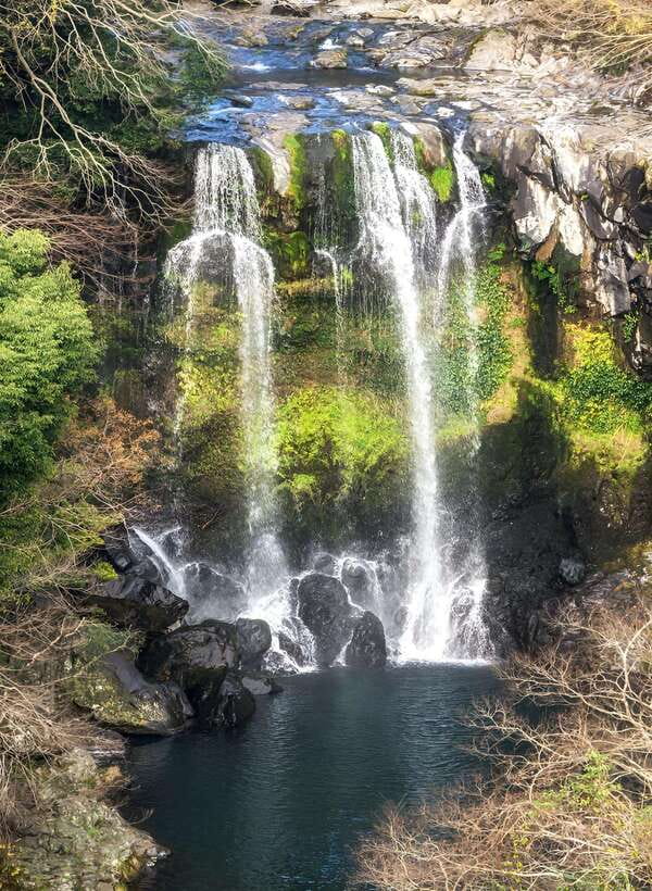 Jeju: Western & Southern Jeju Hydrangea Festival Tour - Lunch is local, but it is not included