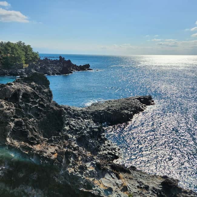 Jeju: Western & Southern Jeju Hydrangea Festival Tour - Cheonjeyeon Falls and the sound of running water