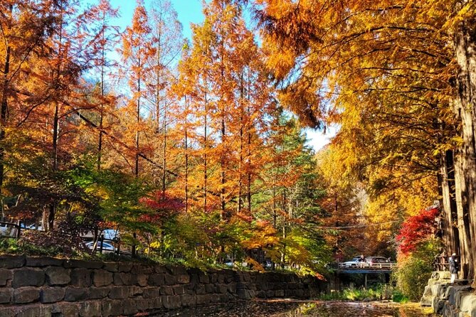 Jeonju Hanok Village Full-Day Tour: Jangtaesan Autumn Foliage - Key things to know before booking