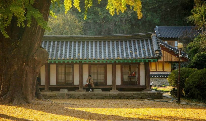 Jeonju Hanok Village Full-Day Tour:Jangtaesan Autumn Foliage - Booking and cancellation details