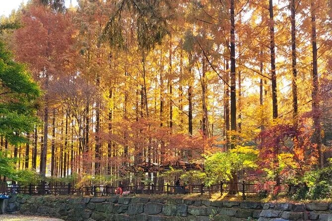Jeonju Hanok Village Full-Day Tour: Jangtaesan Autumn Foliage - Make room for Jeonju bibimbap