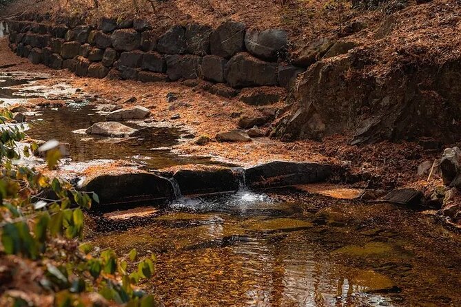 Jeonju Hanok Village Full-Day Tour: Jangtaesan Autumn Foliage - Jangtaesan’s autumn forest and lookout