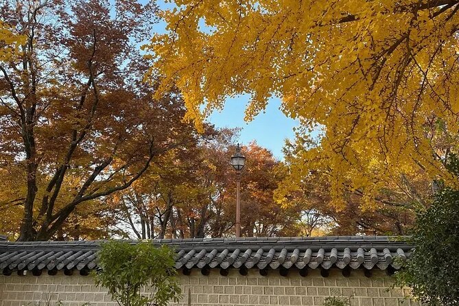 Jeonju Hanok Village Full-Day Tour: Jangtaesan Autumn Foliage - The guide can shape the whole day