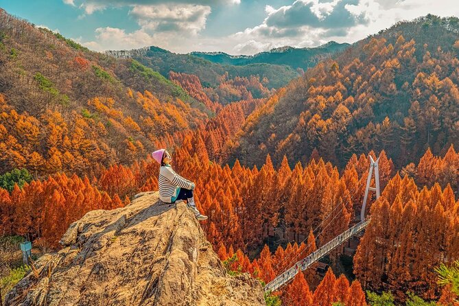Jeonju Hanok Village Full-Day Tour: Jangtaesan Autumn Foliage - What $60.17 buys you
