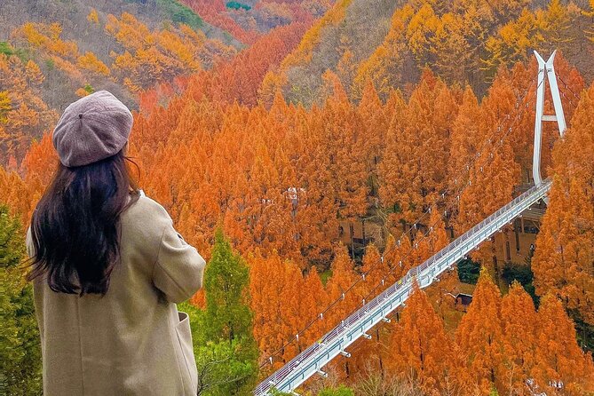 Jeonju Hanok Village Full-Day Tour: Jangtaesan Autumn Foliage - Who should book this day trip
