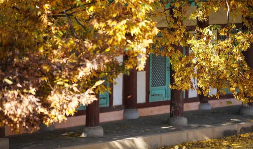 Jeonju Hanok Village Full-Day Tour:Jangtaesan Autumn Foliage - Who will enjoy this day most?