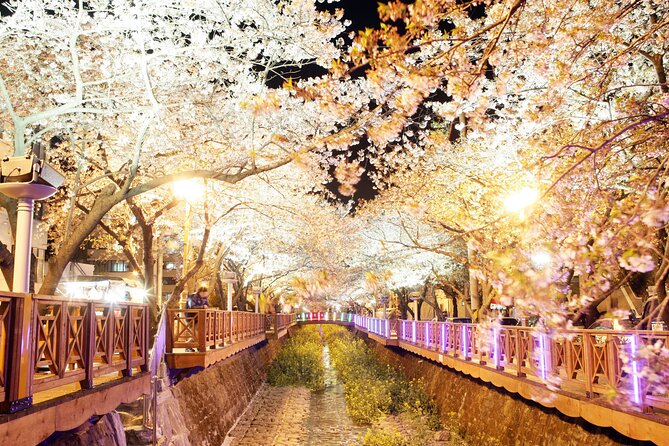 Jinhae Cherry Blossom Day trip from Busan - A Spring Adventure! - Gyeonghwa Station’s flower-covered railway