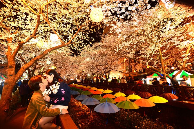 Jinhae Cherry Blossom Day trip from Busan - A Spring Adventure! - Four Busan pickup points and a long return day