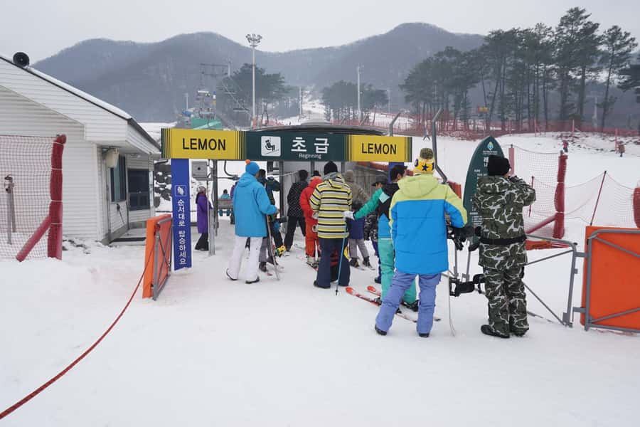 Jisan Forest Resort: Ski Full-Day Tour or Shuttle from Seoul - Key points to know before booking