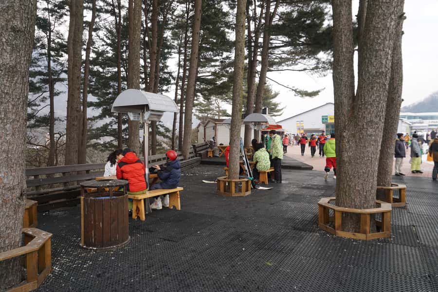 Jisan Forest Resort: Ski Full-Day Tour or Shuttle from Seoul - What you can do besides skiing