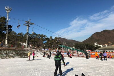 Jisan Forest Ski Resort and Everland 1 Day Tour