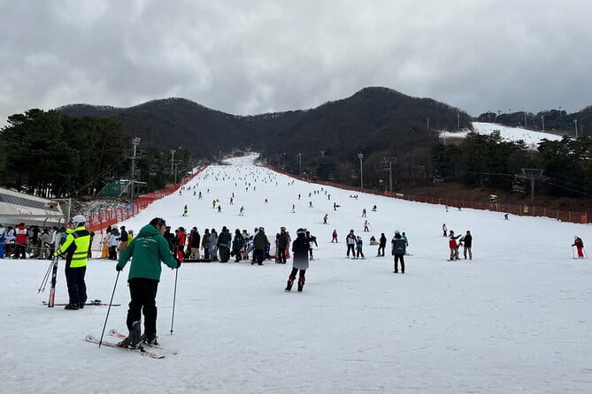 Jisan Forest Ski Resort and Everland 1 Day Tour - The transfer to Everland