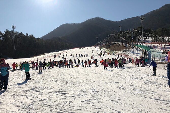 Jisan Ski One Day Tour - Leaving Seoul for Jisan Forest Resort