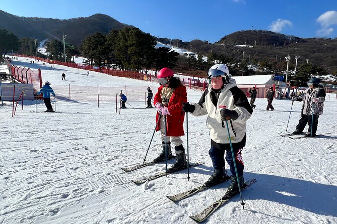 Jisan Ski Resort from Seoul by Shuttle(Opt Winter Skiing Package) - Choosing between transport, a short lesson, and two hours of coaching