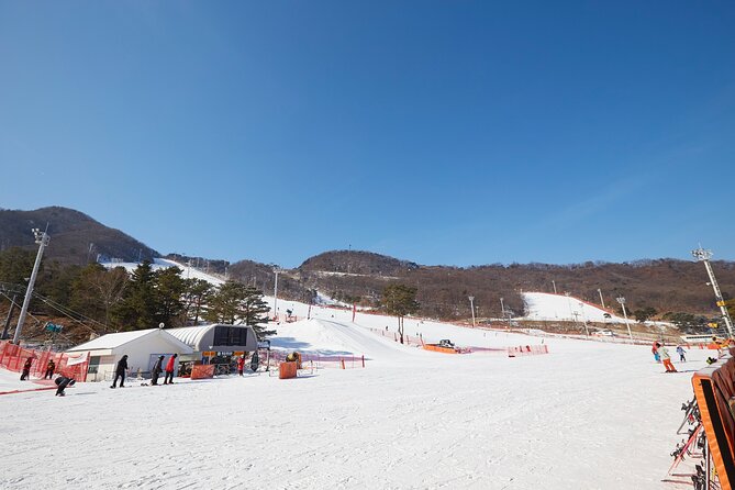 Korea Ski Tour from Seoul - Jisan Resort with Isaac Toast - Free time, lifts, and snow sledding