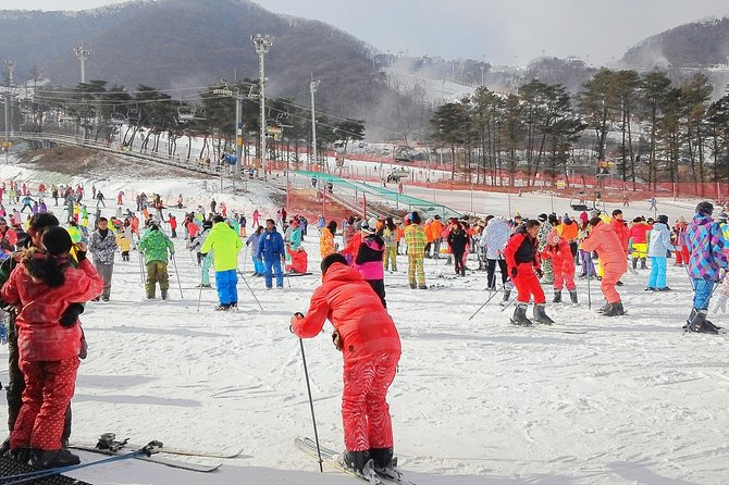 Korea Ski Tour from Seoul - Jisan Resort with Isaac Toast - Who will enjoy this day most