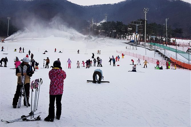 Korea Ski Tour from Seoul - Jisan Resort with Isaac Toast - Booking details that affect your day
