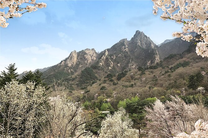 Mt. Seorak+Nami Island+Garden of Morning Calm Day Trip from Seoul - Why this countryside day works from Seoul
