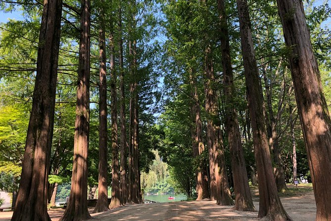 Mt. Seorak+Nami Island+Garden of Morning Calm Day Trip from Seoul - How the timing affects the experience