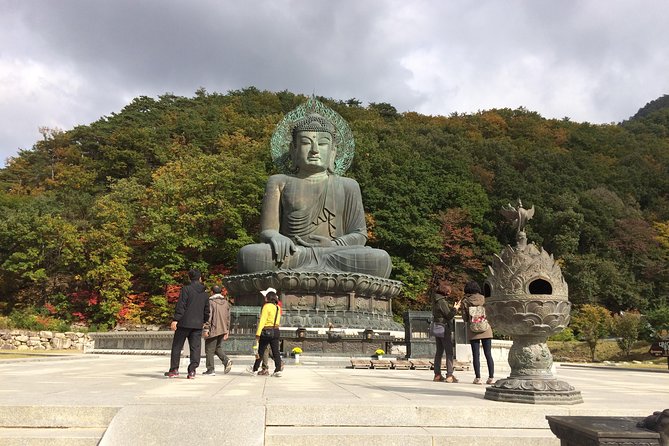 Mt. Seorak+Nami Island+Garden of Morning Calm Day Trip from Seoul - What the $95.18 price really covers