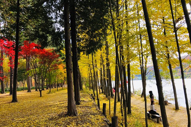 Mt. Seorak+Nami Island+Garden of Morning Calm Day Trip from Seoul - Who should book this day trip?