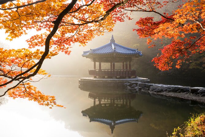 Naejangsan National Park Autumn Foliage One Day Tour from Seoul - Why Naejangsan makes a strong autumn escape from Seoul