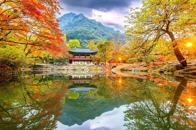 Naejangsan National Park Autumn Foliage One Day Tour from Seoul - Five hours among Naejangsan’s autumn colors