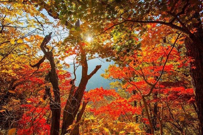Naejangsan National Park Autumn Foliage One Day Tour from Seoul - Naejangsa Temple and the Baekje-era story