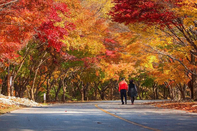 Naejangsan National Park Autumn Foliage One Day Tour from Seoul - Is $46.29 good value for a 13 to 14 hour day?