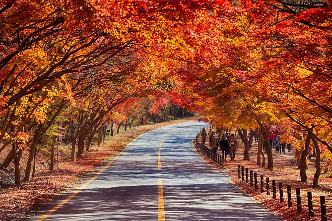 Naejangsan National Park Autumn Foliage One Day Tour from Seoul - Who will enjoy this day trip most?