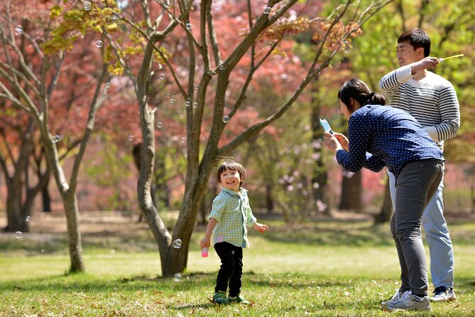 Nami Island and Petite France & Italian Village Day Trip from Seoul - The best season and the cold-weather note