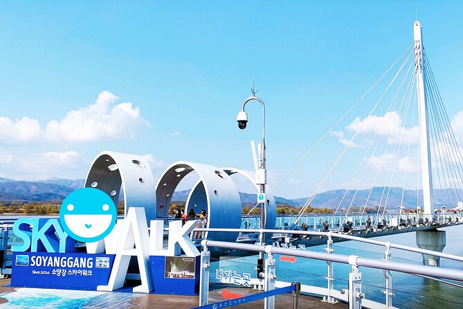 Nami Island, Cable Car, Garden of Morning Calm Panoramic Tour - A guide can make the packed schedule easier