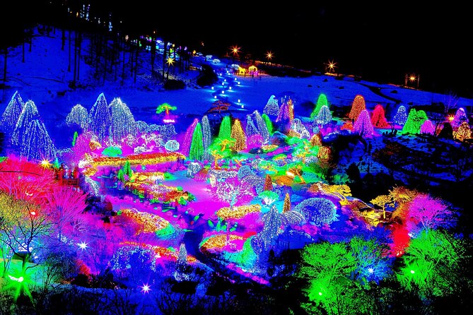 Nami Island, Cable Car, Garden of Morning Calm Panoramic Tour - Who should book this day trip