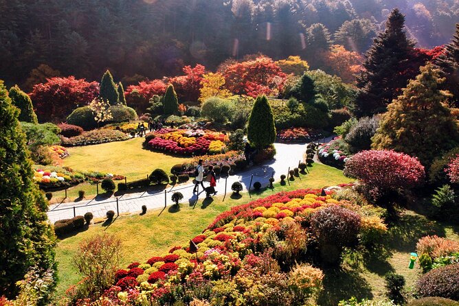 Nami Island & Garden of Morning Calm & Gangchon Railbike Tour - Guides can make the tight schedule work