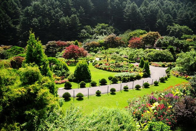 Nami Island & Garden of Morning Calm & Gangchon Railbike Tour - Who should book this day out?