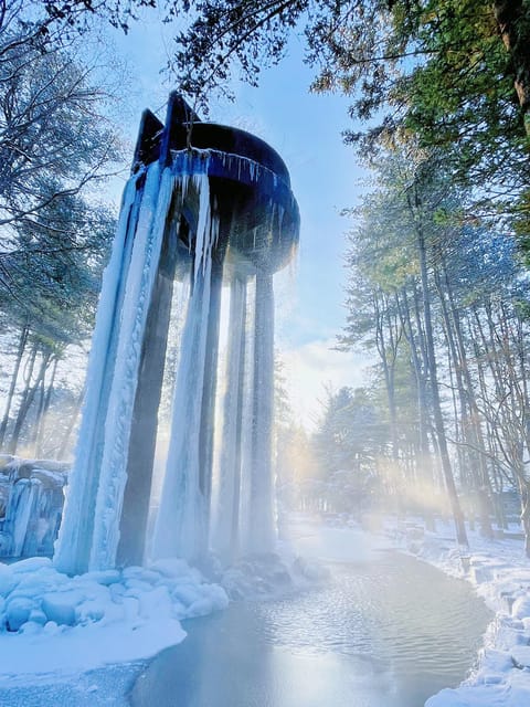 Nami Island, Railbike & Alpaca Garden Day Trip from Seoul - Should you book this autumn outing?