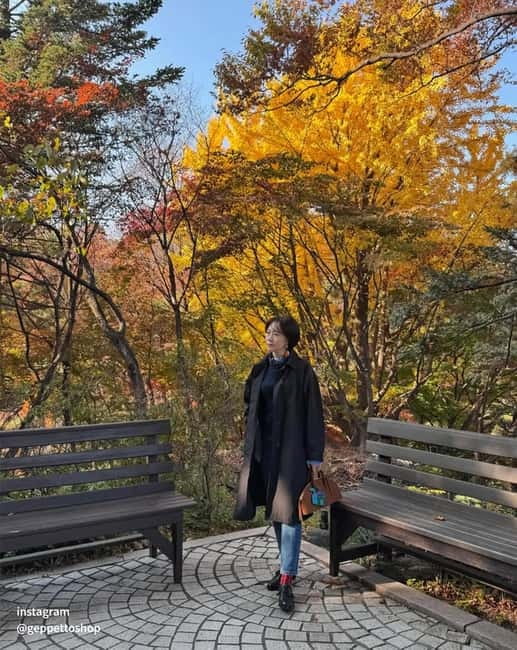 Nami & Maple Road & Theatre des Lumieres Day Tour from Seoul - How to choose the right season and option