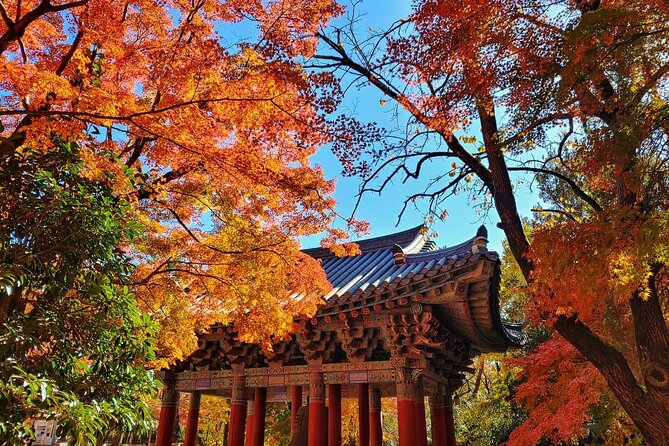 Old Korea Thousand History Tour of Gyeongju from Busan - The morning ride and meeting points in Busan