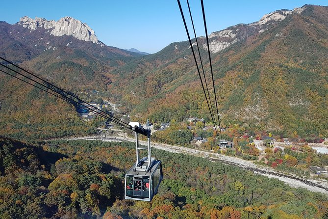 [Premium Private Tour] Mt Seorak & East Sea or Nami island from Seoul - Two ways to see Seoraksan: valley walk or cable car