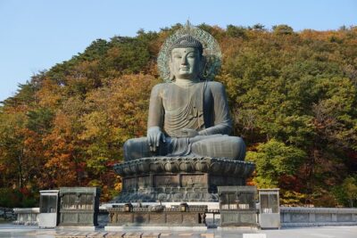 [Premium Private Tour] Mt Seorak & East Sea or Nami island from Seoul