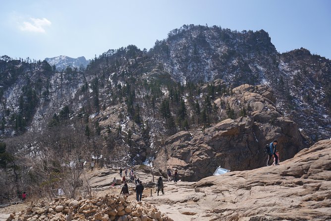 [Premium Private Tour] Mt Seorak & East Sea or Nami island from Seoul - Dongmyeong Port, lighthouse views, and Sokcho’s fish market