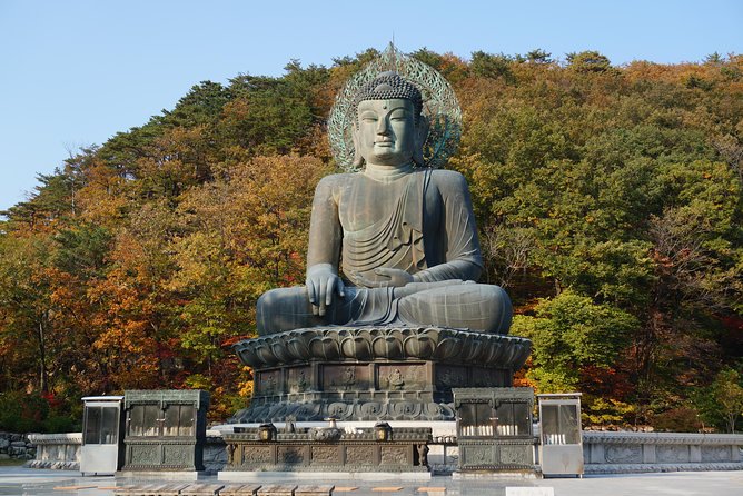 [Premium Private Tour] Mt Seorak & East Sea or Nami island from Seoul - Sinheungsa Temple and the first look at Korean Buddhism