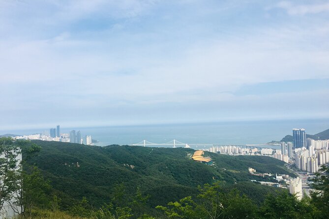 Private Busan tour with gamcheon culture village and the temple (Customizable) - The best city view may be from Hwangnyeongsan