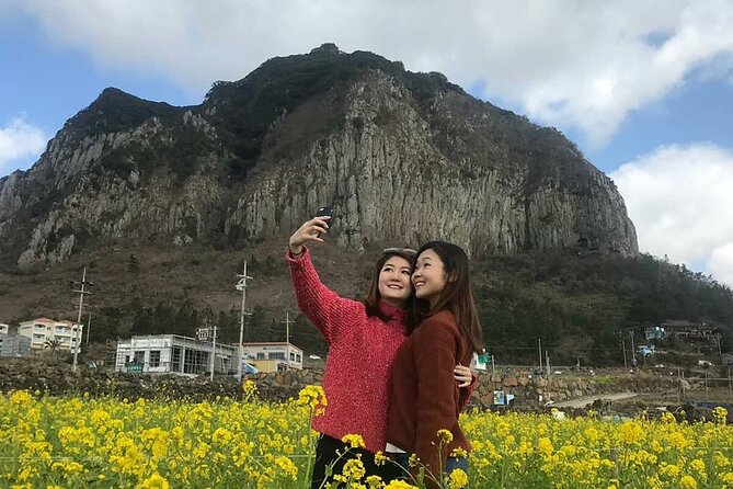 Private Day Tour in South and West in Jeju Island - O’sulloc Tea Museum: a longer cultural pause