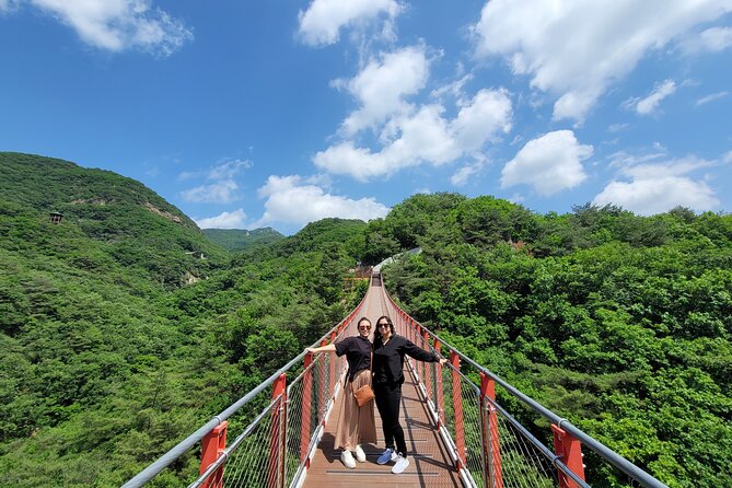 Private DMZ Tour and Suspension Bridge + Korean BBQ - Why this Seoul day trip feels different