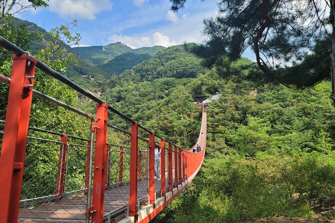 Private DMZ Tour and Suspension Bridge + Korean BBQ - The optional Seoul stops