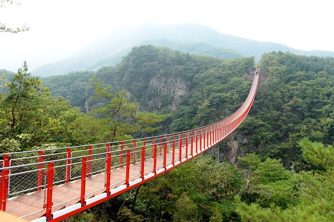 Private DMZ Tour (No Shopping): 3rd Tunnel & Suspension Bridge - Why this private DMZ tour is worth your day