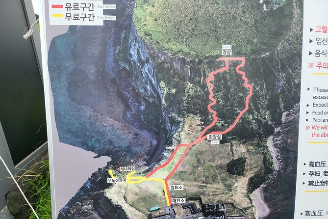 Private Full Day Tour World Natural Heritage & UNESCO in jeju - What the guide and vehicle service are really like