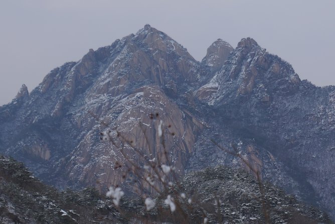 Private Hiking tour to Bukhansan Peak(Baegundae: 836.5m) with Mountain Expert - What the guides add to the day