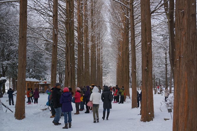 Private Tour Nami Island with Petite France 'and/or' The Garden of Morning Calm - Why this makes a good break from Seoul